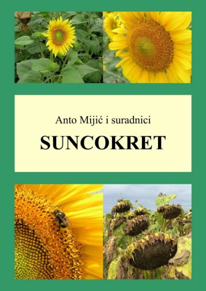Suncokret naslovnica